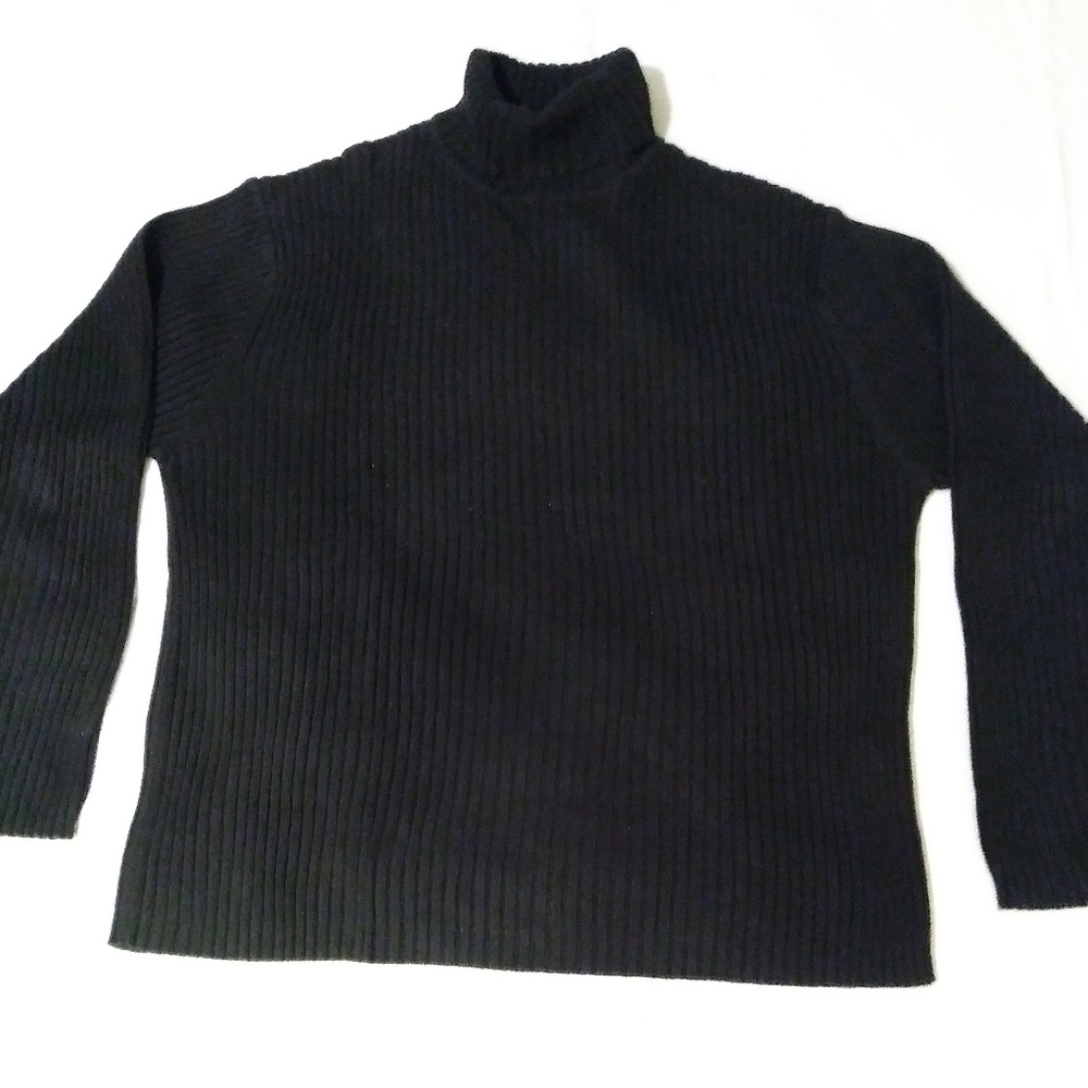Gap Turtleneck Sweater